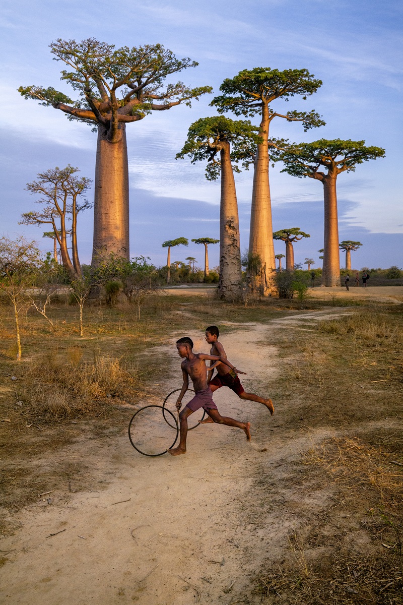 Baobab Avenue, Morondava, Madagascar, 2019 ©Steve McCurry